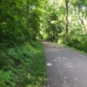 Meet your Posher, Ruth